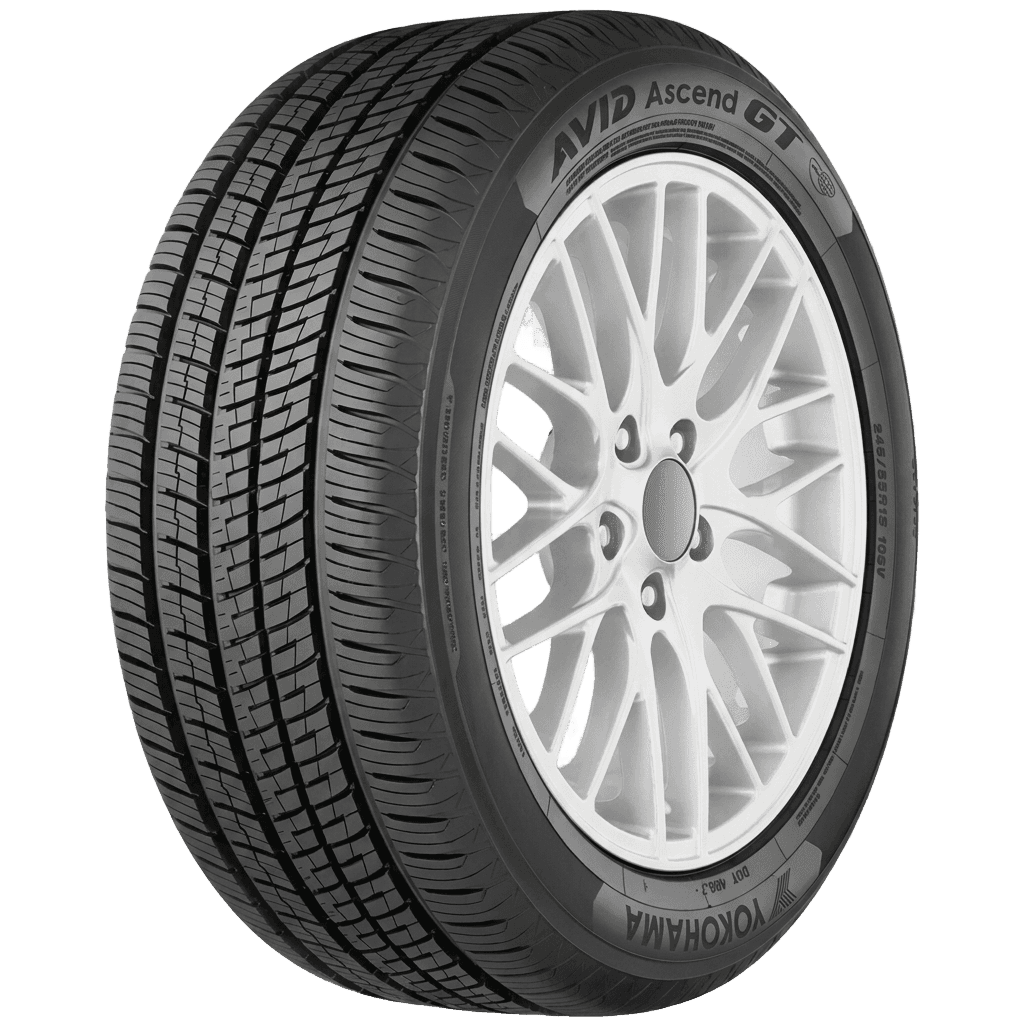 Geolandar Neumático